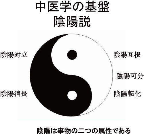 中国医学、黄帝内経、中医学、針灸、経穴